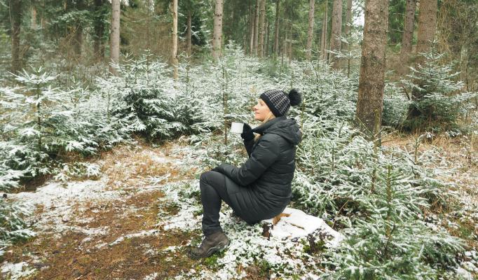 Kvinna sitter i en skog Kvinna sitter i en skog
